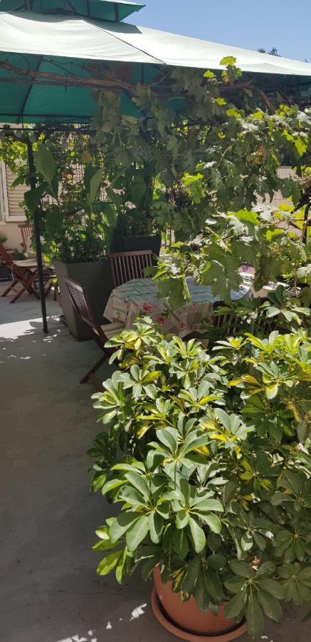 Apartment Dalia House *